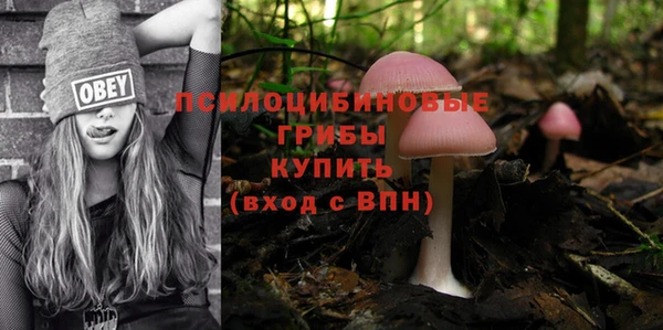 экстази Каменногорск